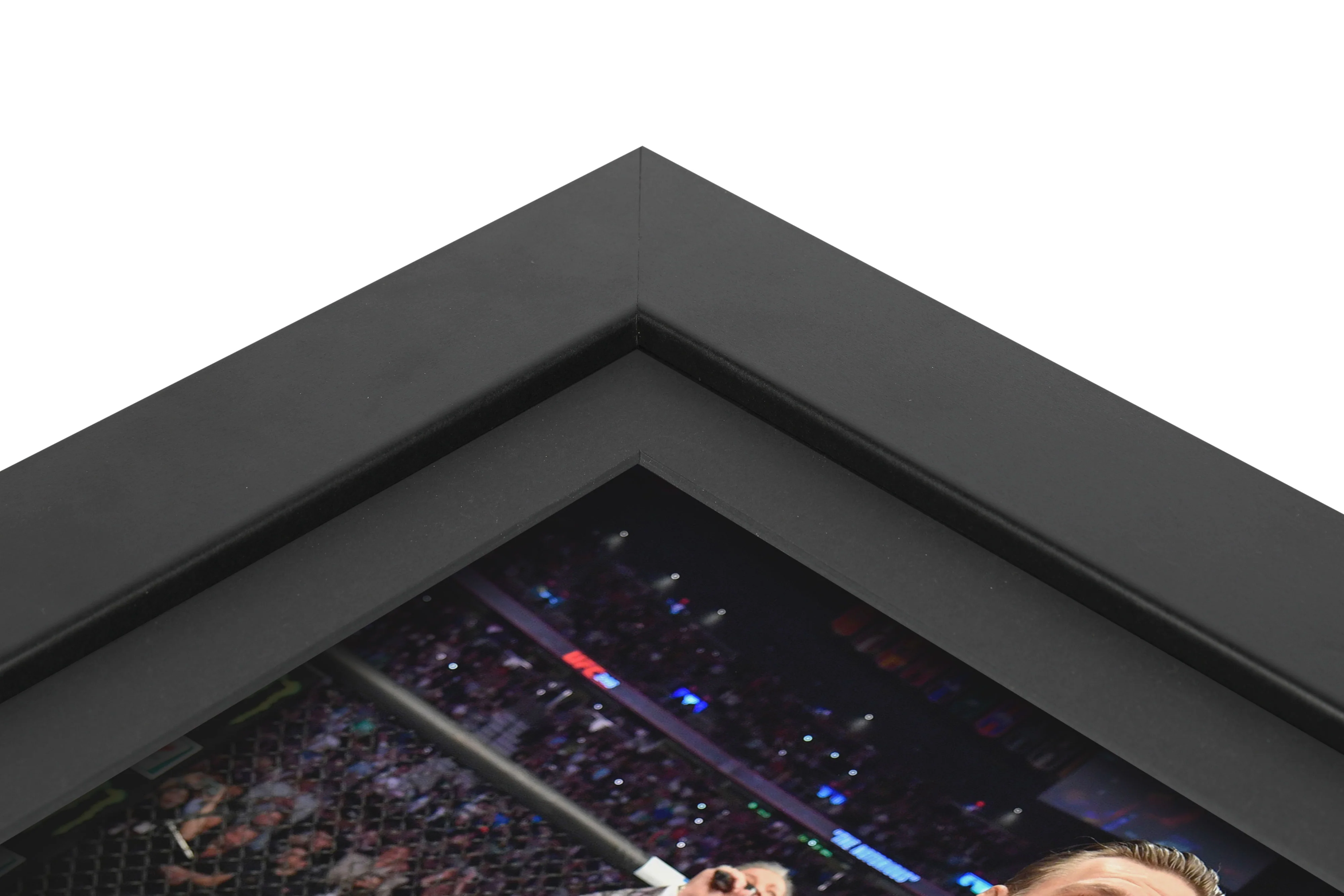 Conor McGregor Limited Edition UFC 246 Canvas & Photo - Image 4