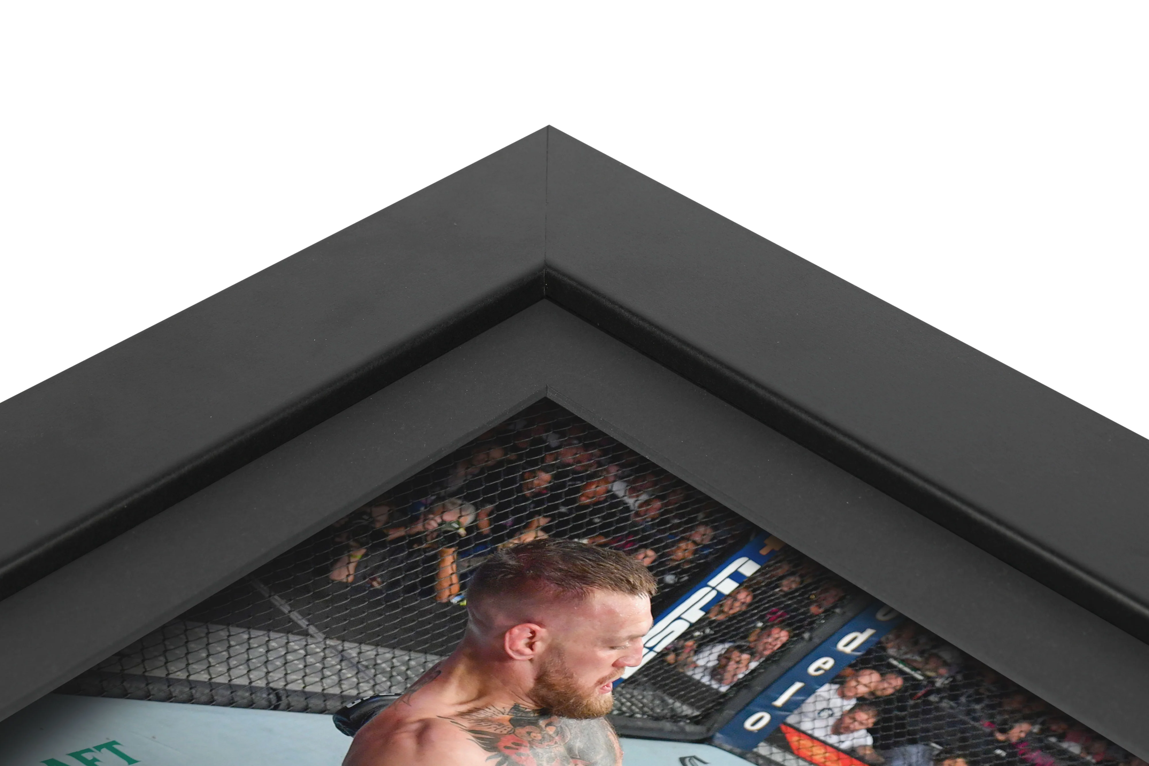 Conor McGregor Limited Edition UFC 264 Canvas & Photo - Image 4
