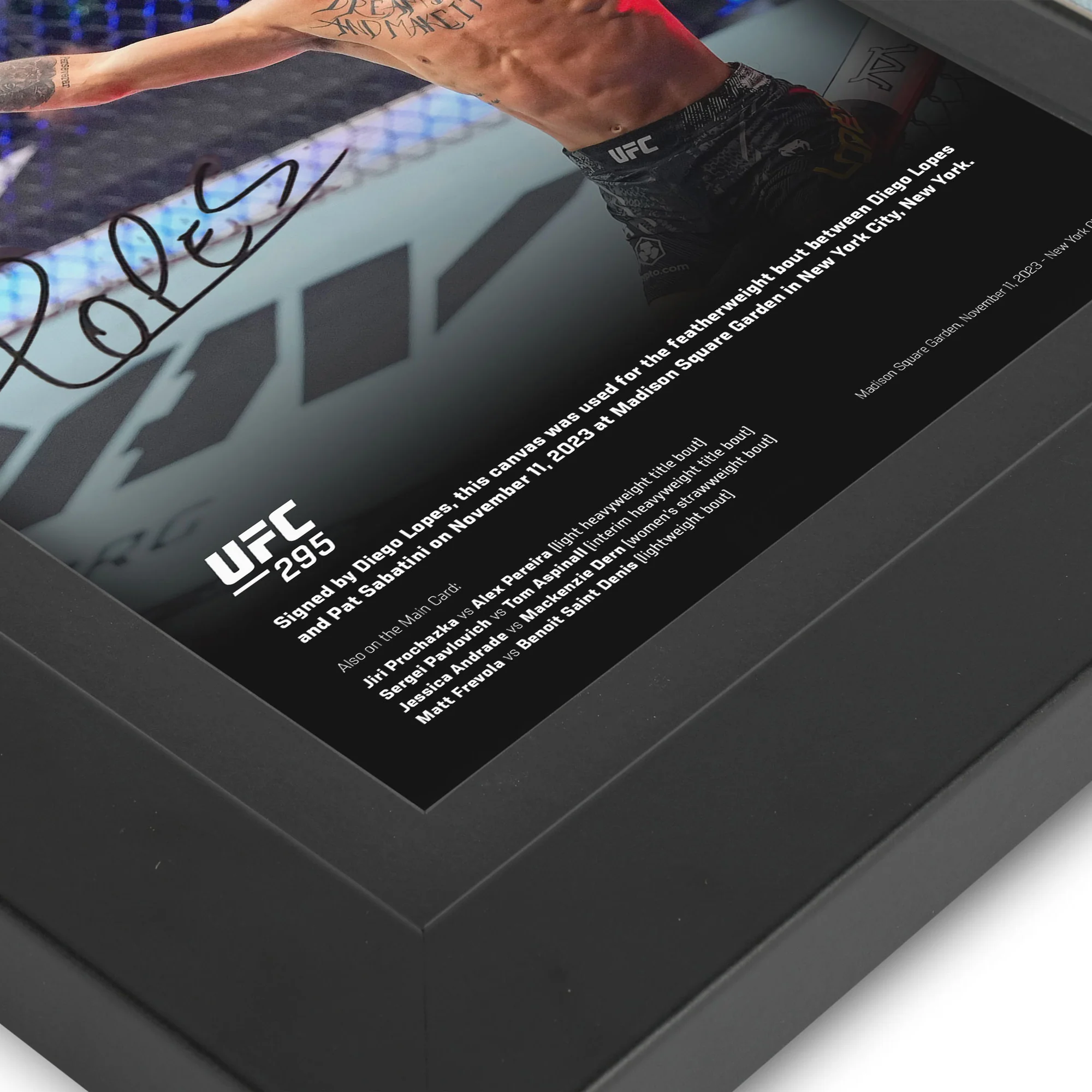 Diego Lopes Canvas & Signed Photo UFC 295: Procházka vs Pereira - Image 4