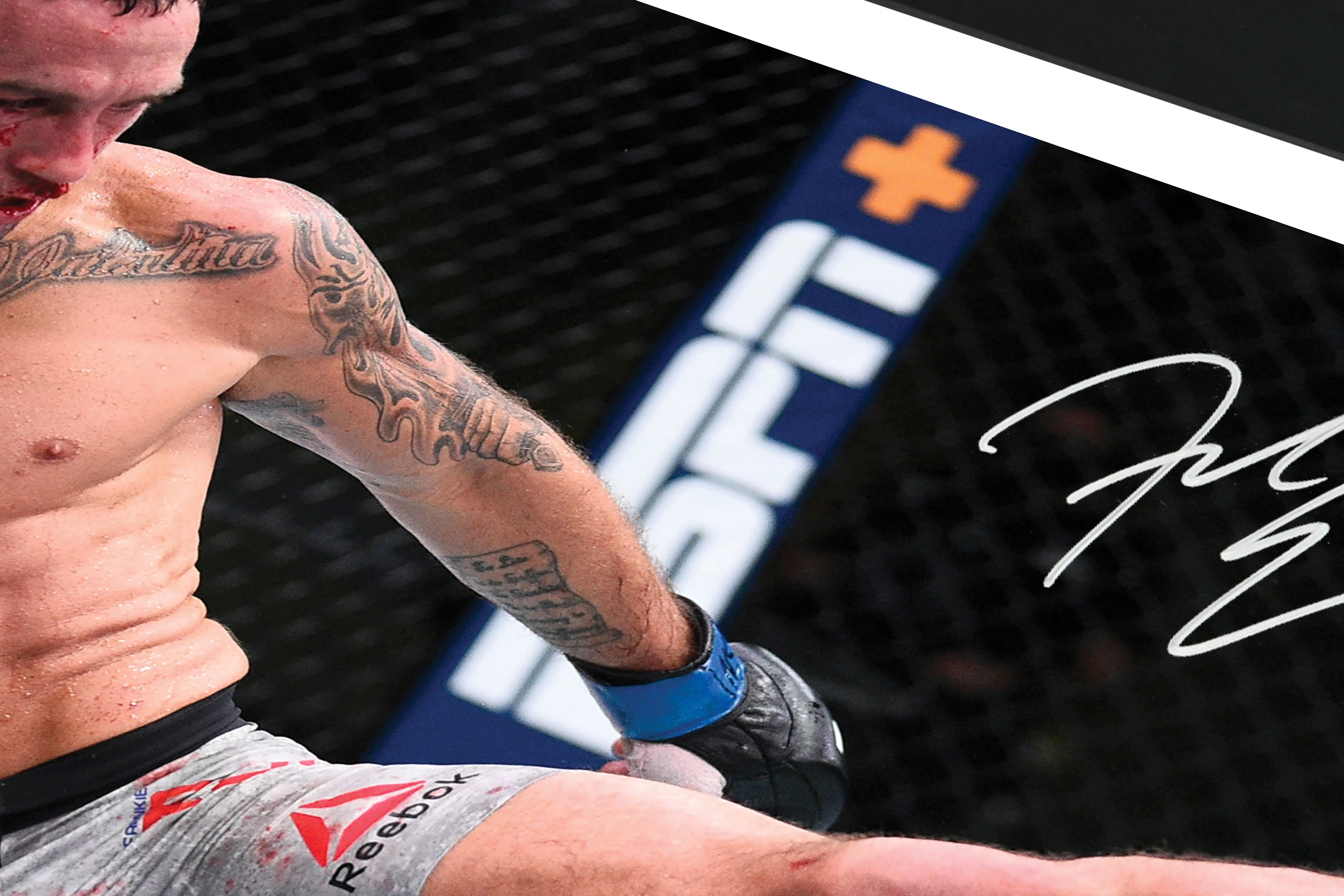 Frankie Edgar Signed Photo UFC Fight Night: Munhoz Vs Edgar - Image 3