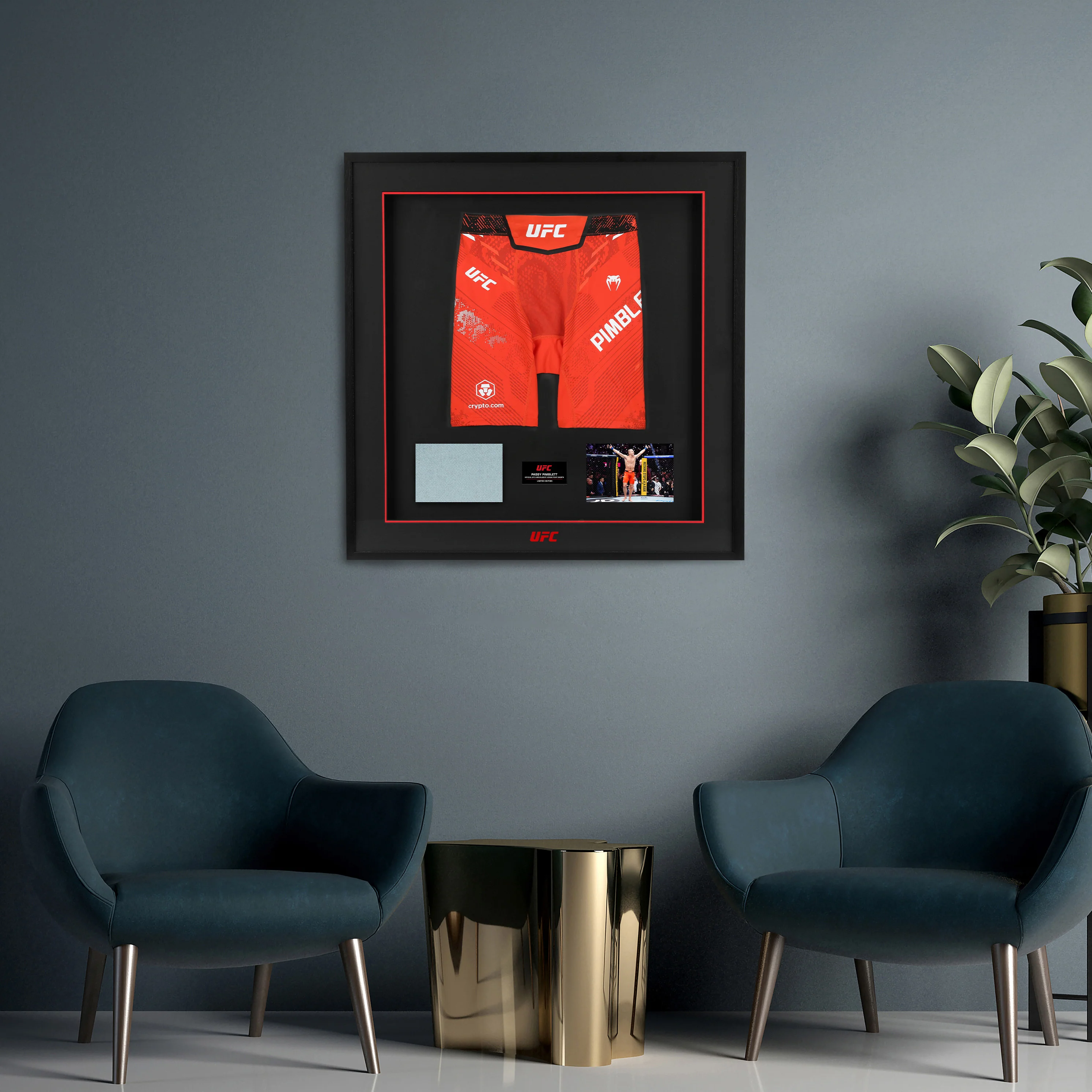 Paddy Pimblett Limited Edition UFC 324 Venum Shorts & Canvas Display - Image 6