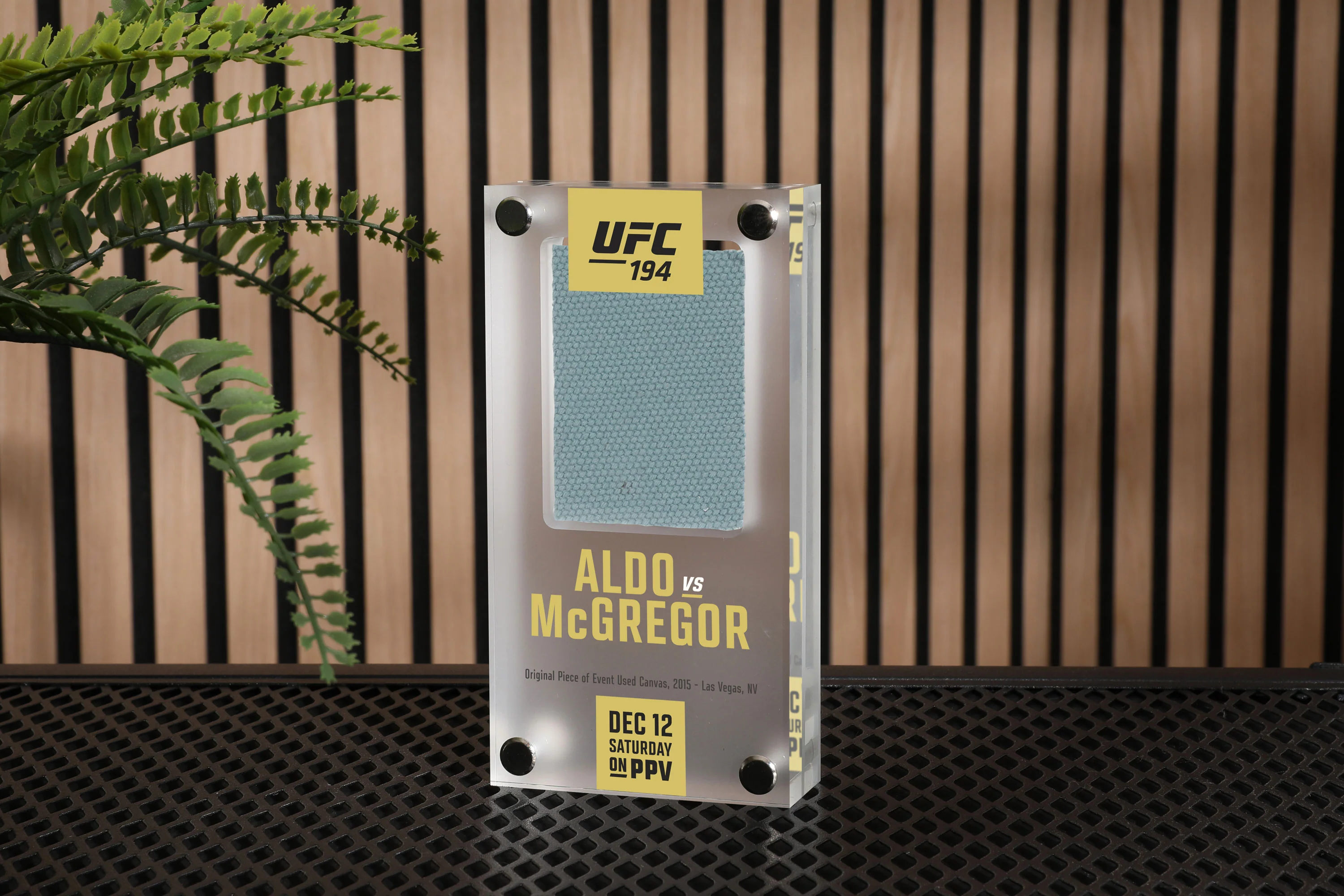 UFC 194: José Aldo vs Conor McGregor Canvas in Acrylic - Image 4
