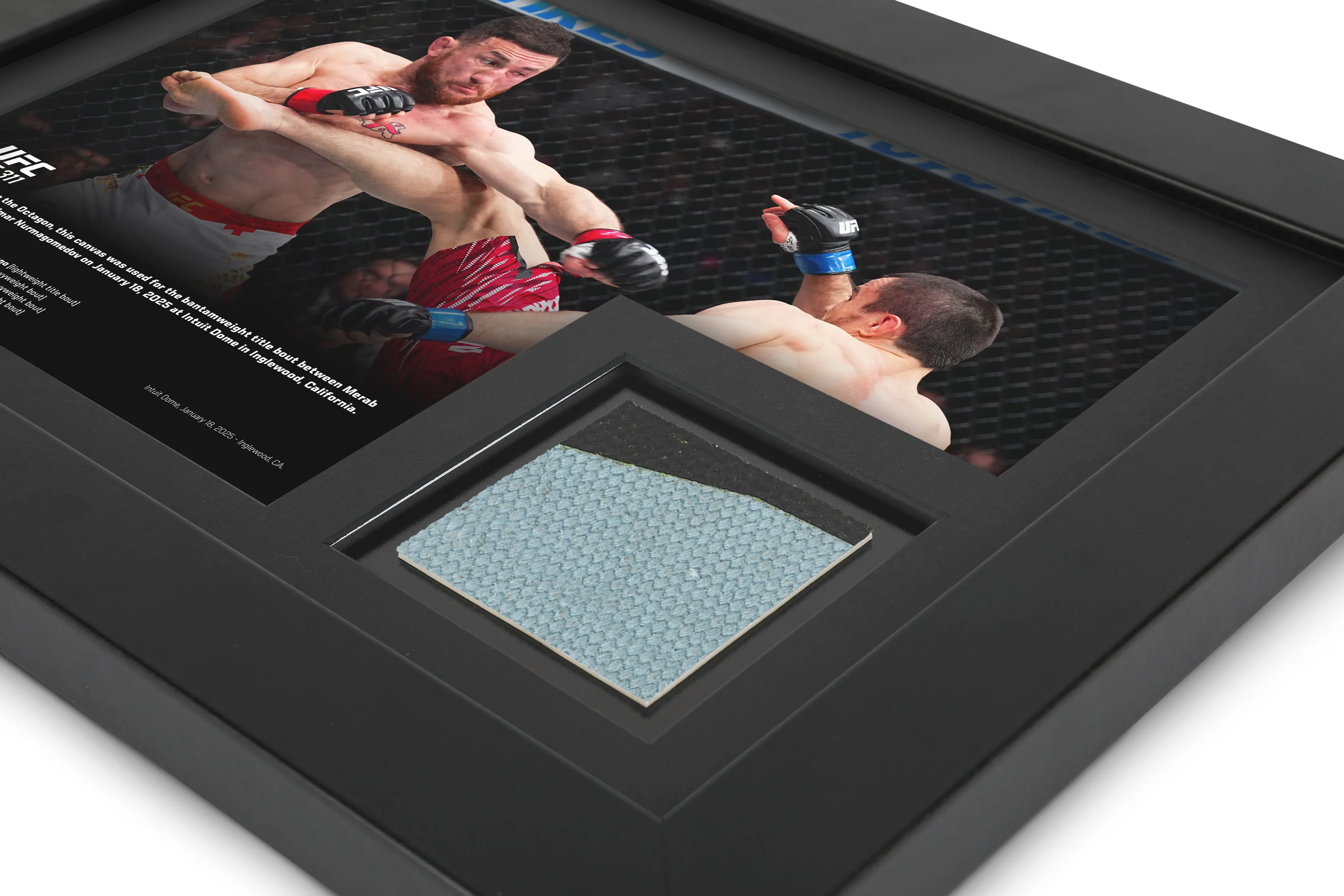 UFC 311: Dvalishvili vs Nurmagomedov Canvas & Photo - Image 2