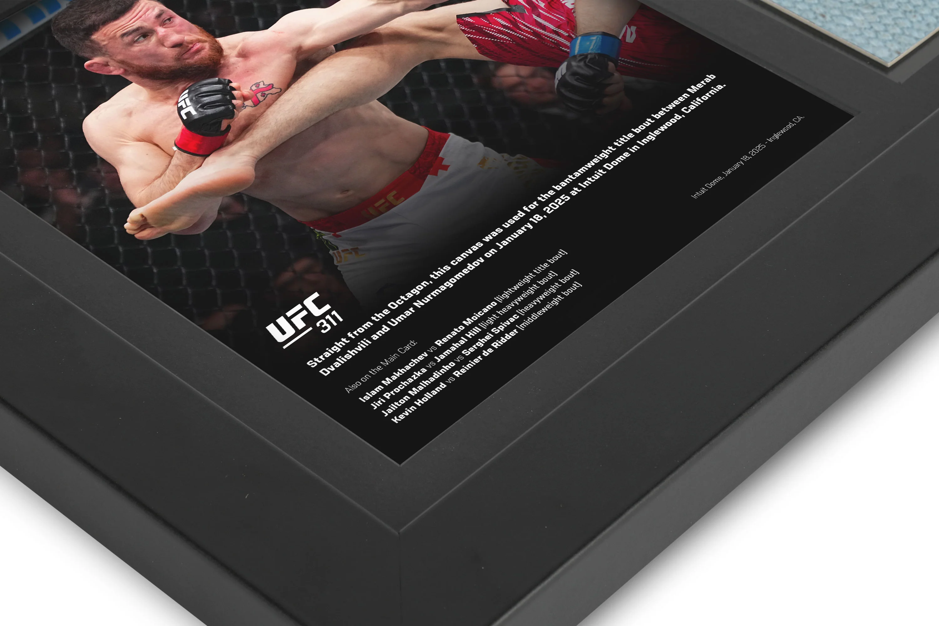 UFC 311: Dvalishvili vs Nurmagomedov Canvas & Photo - Image 3