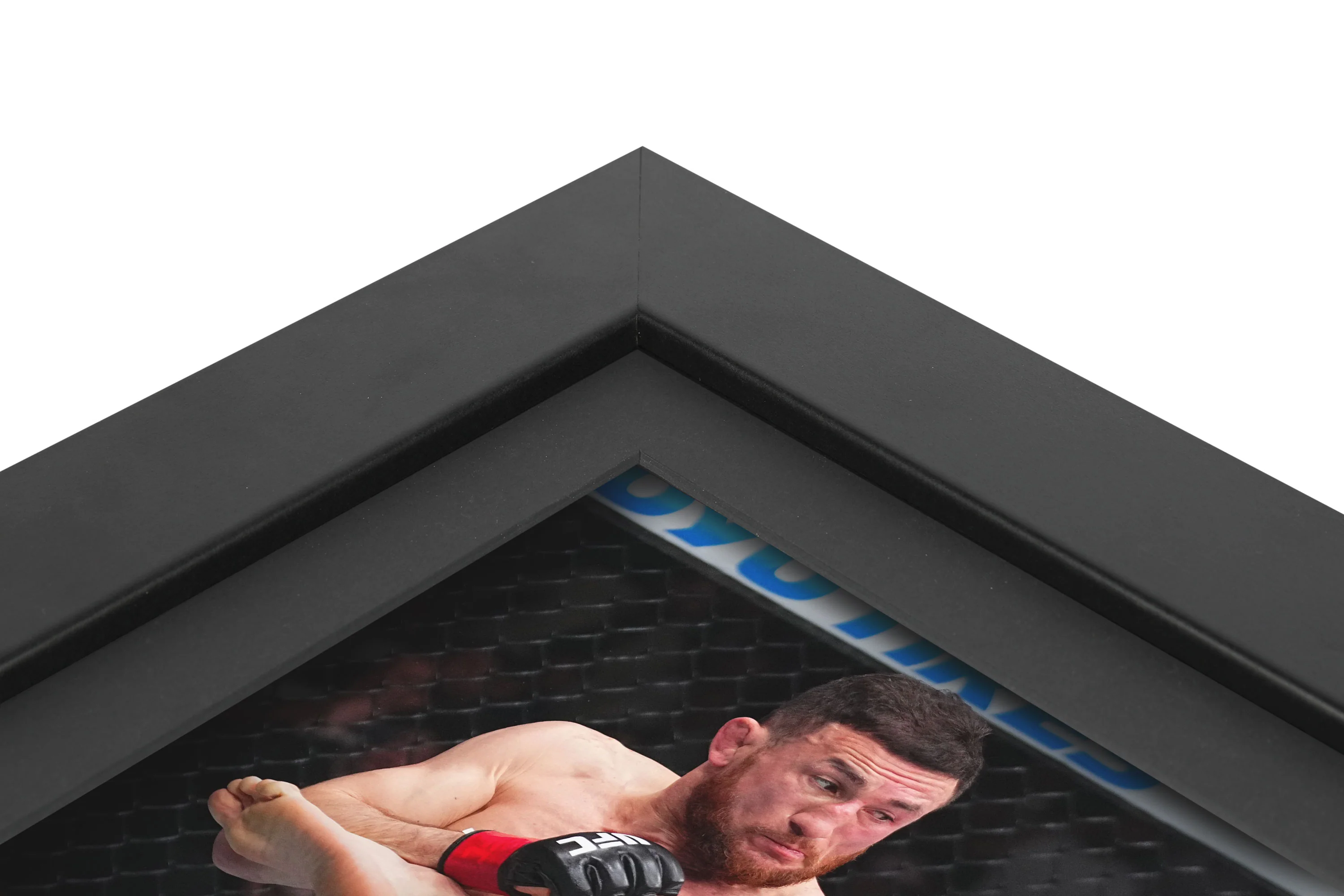 UFC 311: Dvalishvili vs Nurmagomedov Canvas & Photo - Image 4