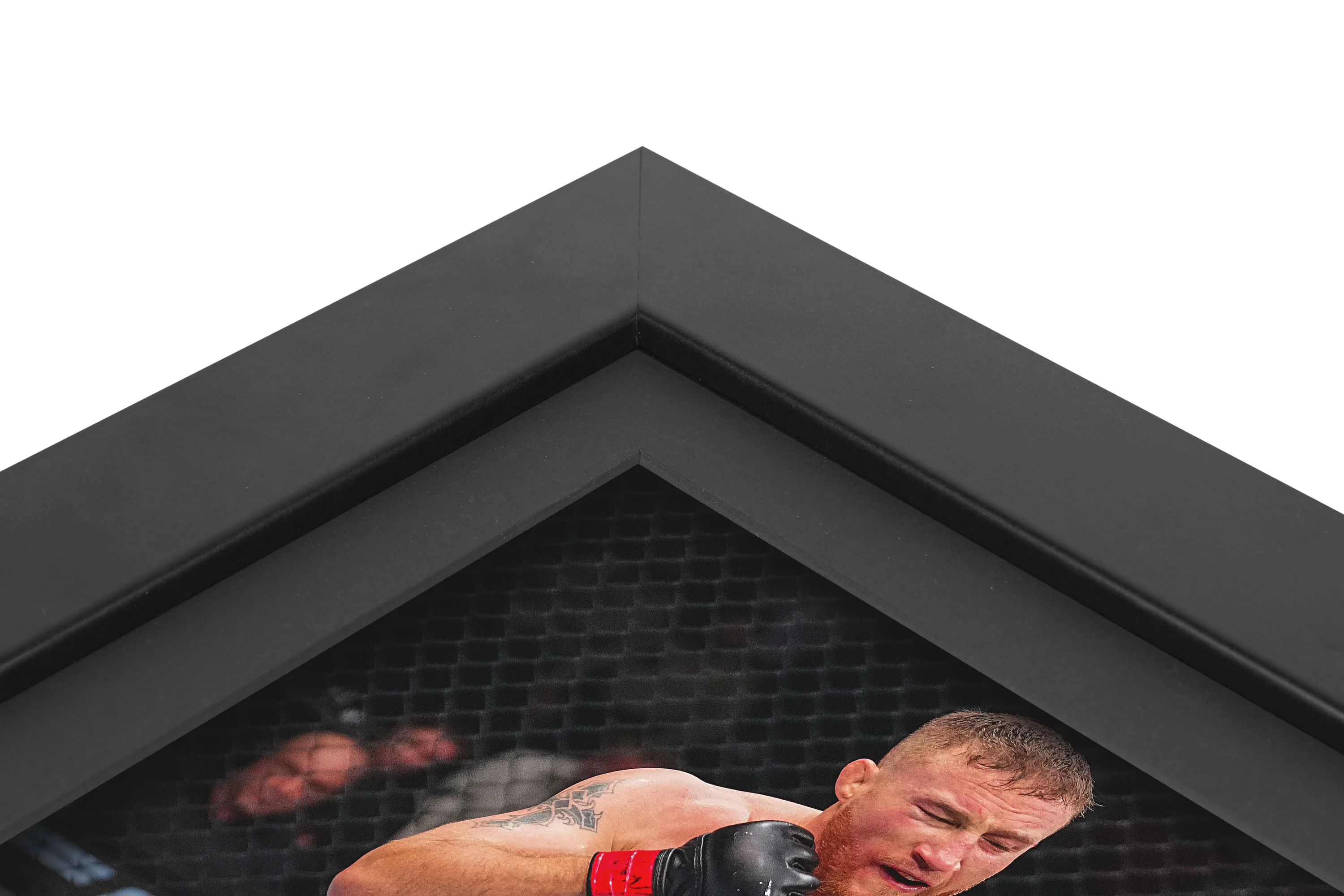 UFC 313: Gaethje vs Fiziev Canvas & Photo - Image 4