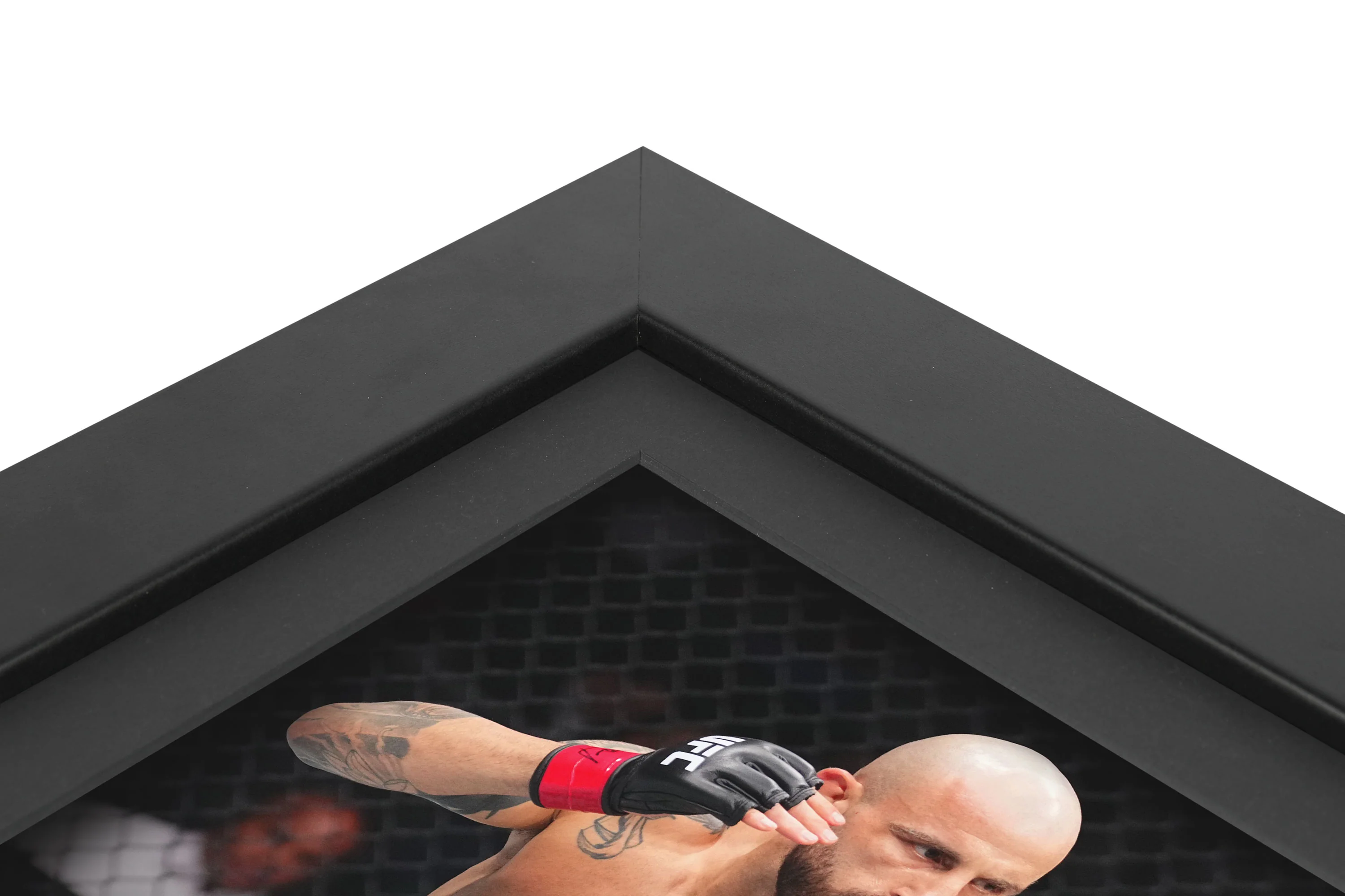 UFC 314: Volkanovski vs Lopes Canvas & Photo - Image 3