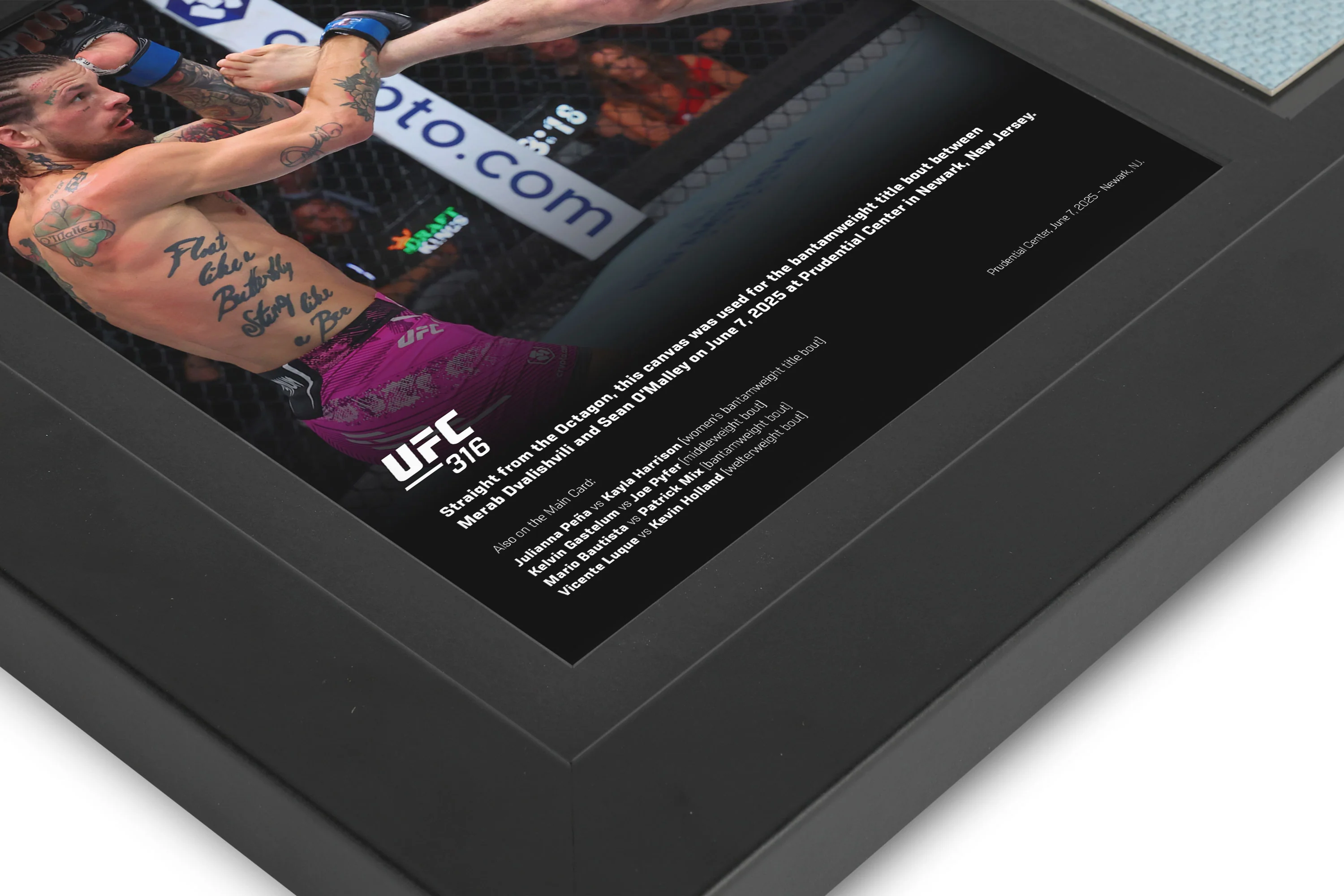UFC 316: Dvalishvili vs O’Malley 2 Canvas & Photo - Image 3