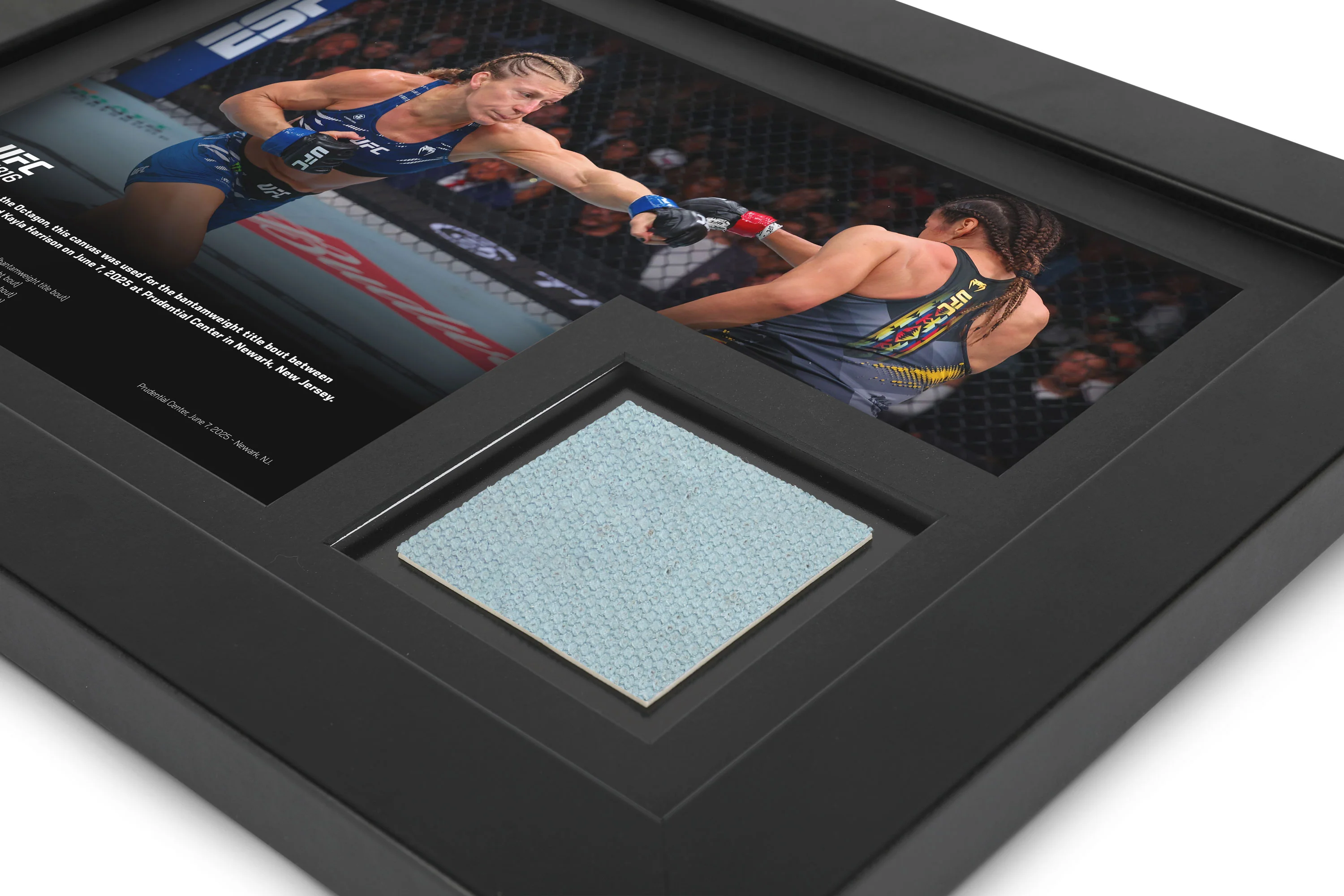 UFC 316: Julianna Peña vs Kayla Harrison Canvas & Photo - Image 2