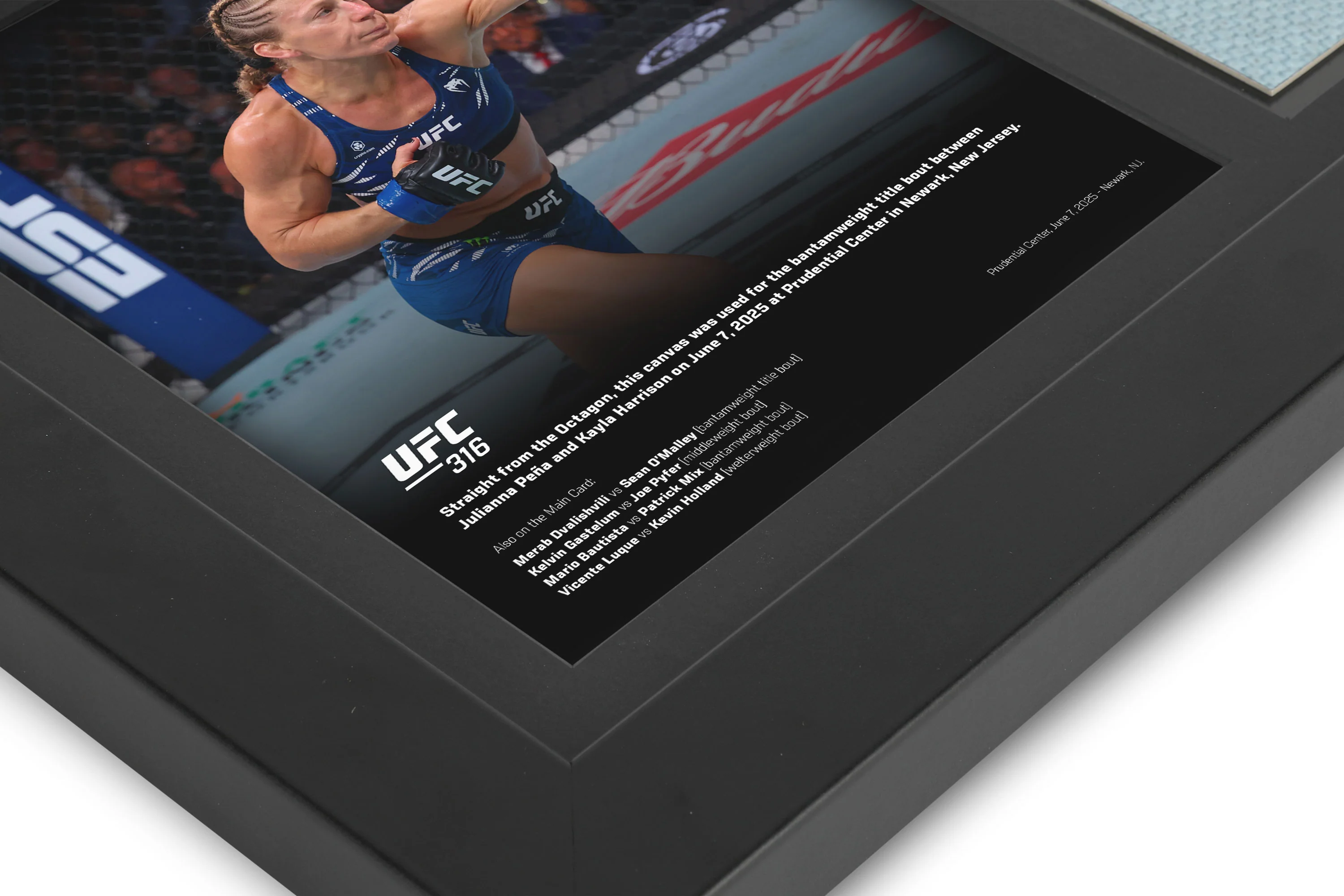 UFC 316: Julianna Peña vs Kayla Harrison Canvas & Photo - Image 5