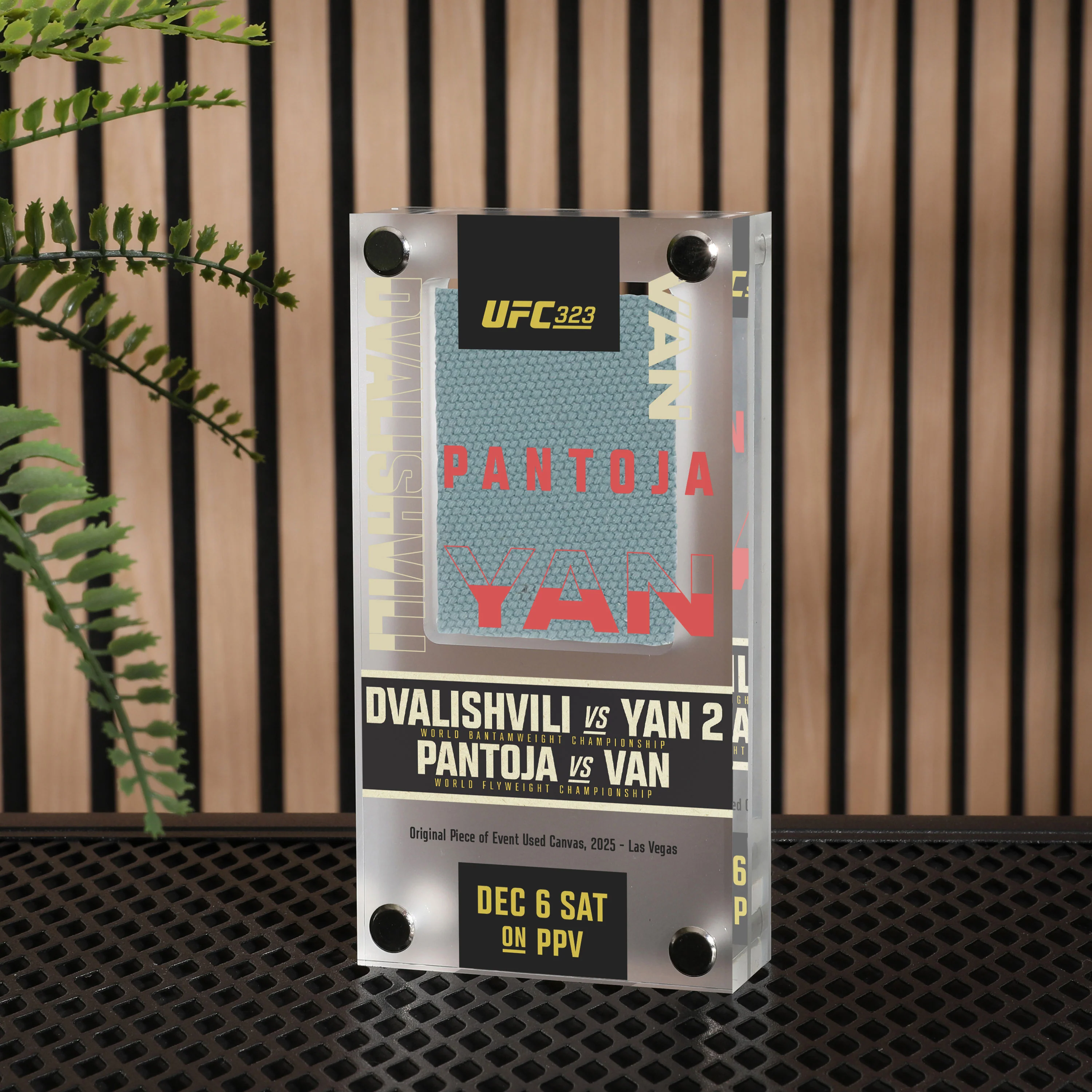 UFC 323: Dvalishvili vs Yan 2 Canvas in Acrylic - Image 4