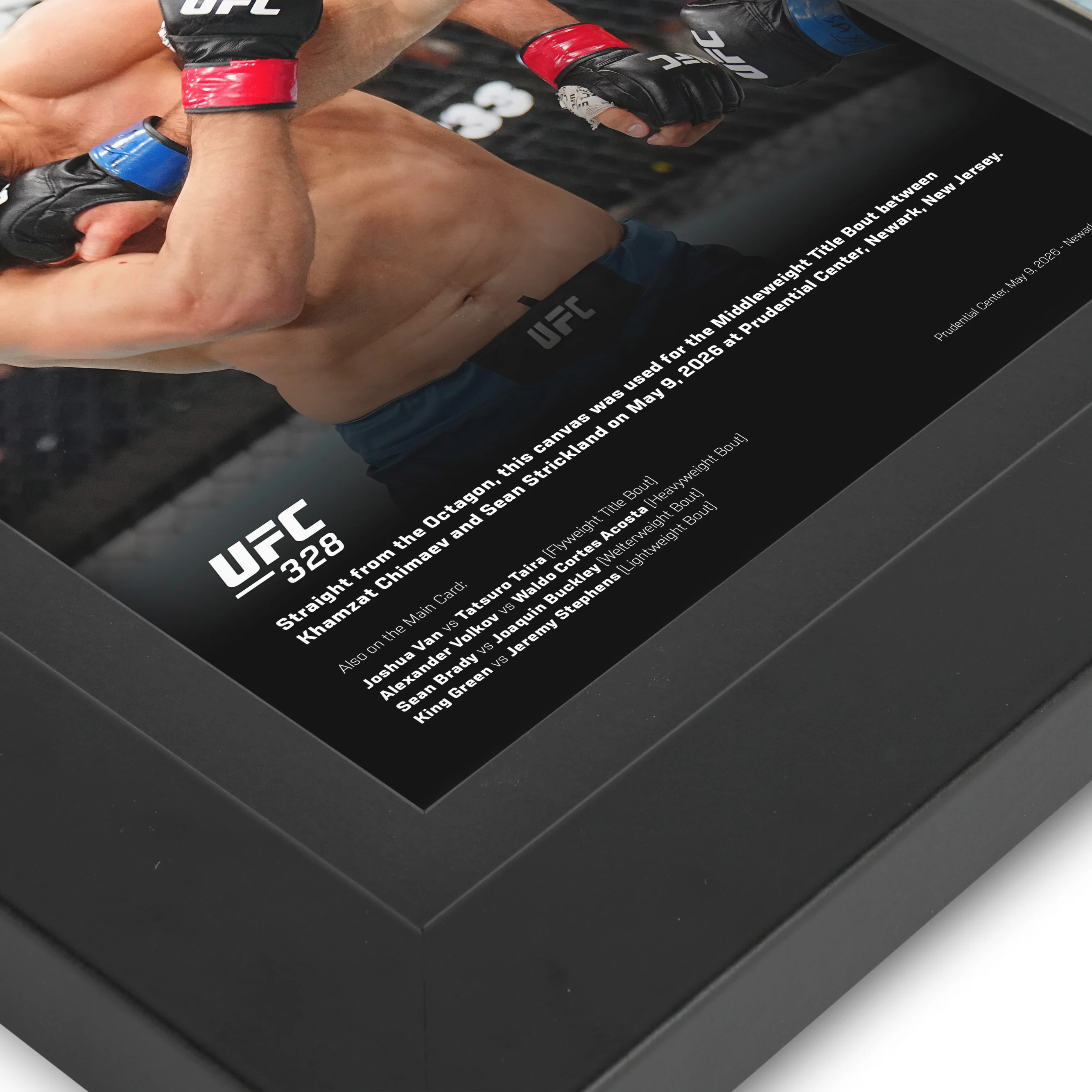 UFC 328: Chimaev vs Strickland Canvas & Photo - Image 3