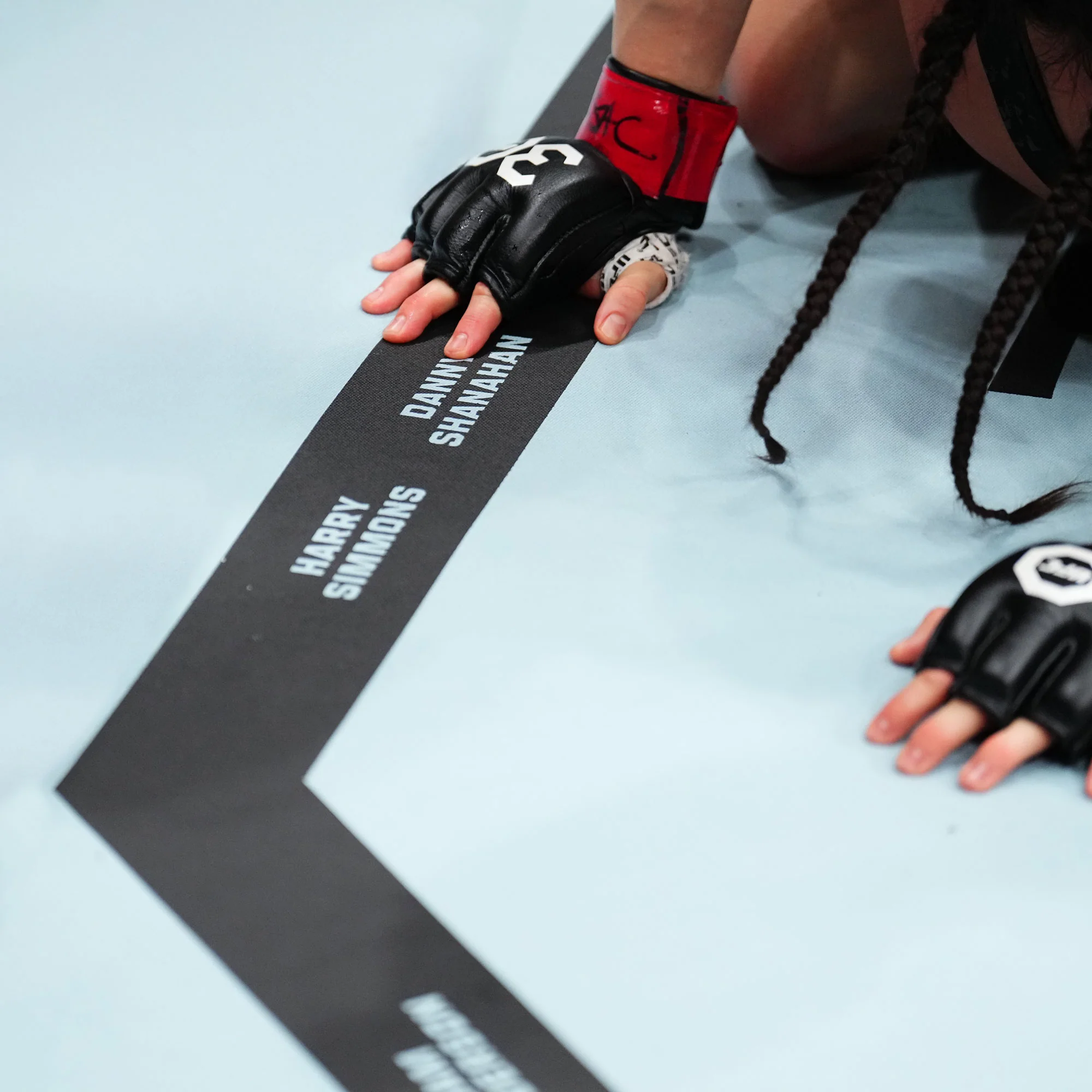 SOLD OUT: UFC Fight Night: Fiziev vs Torres Name on Canvas - Image 3