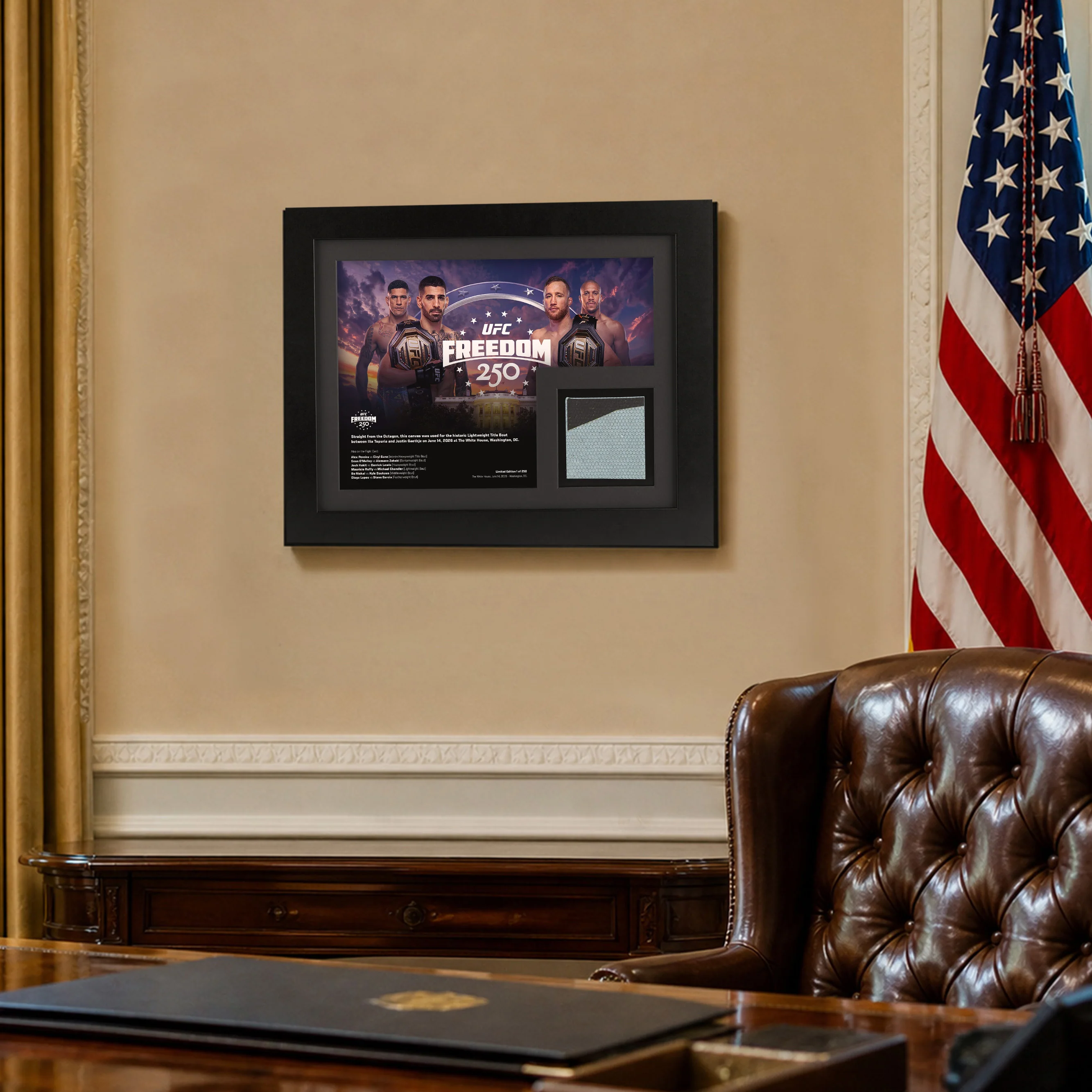 UFC Freedom 250 Canvas & Photo - Image 3