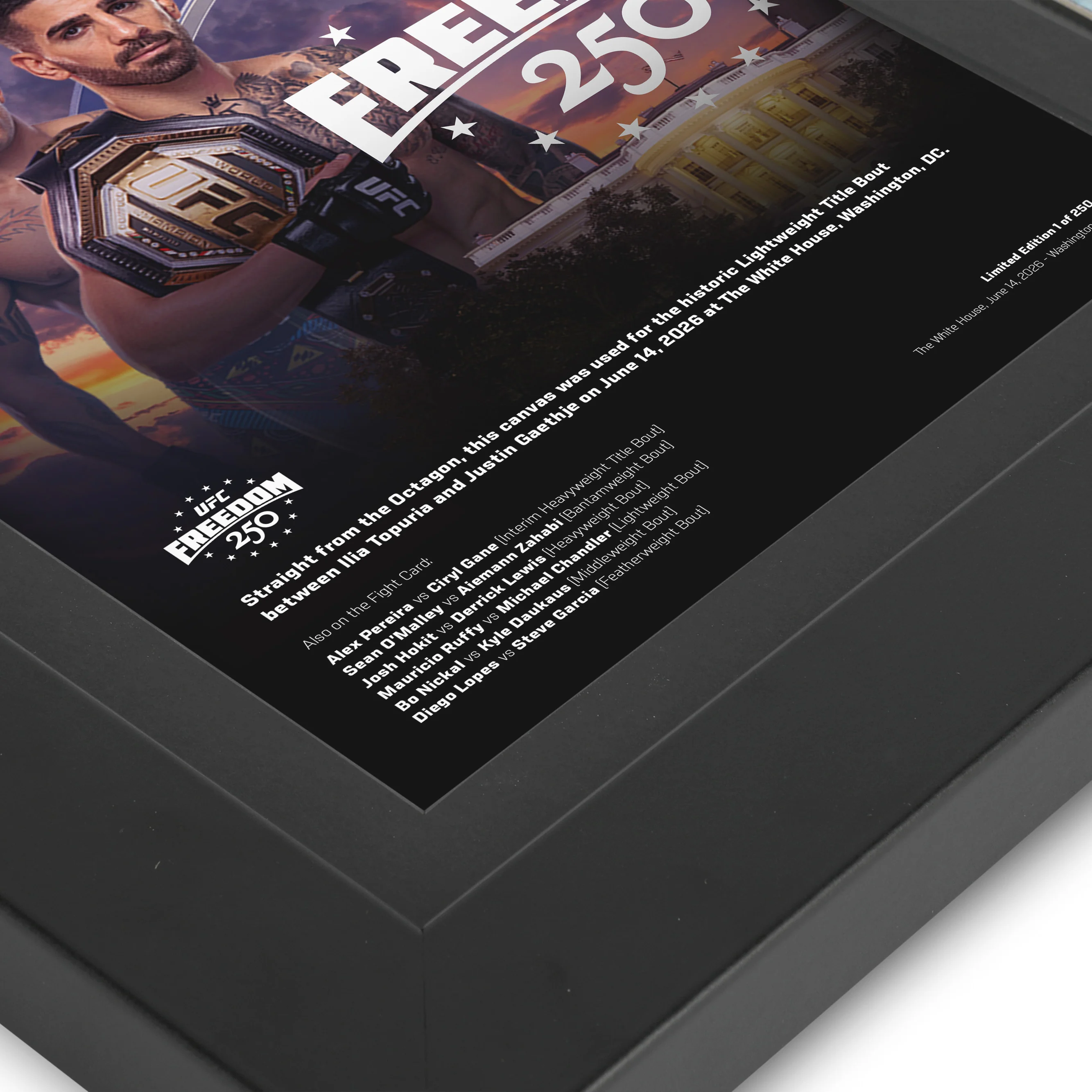 UFC Freedom 250 Canvas & Photo - Image 4