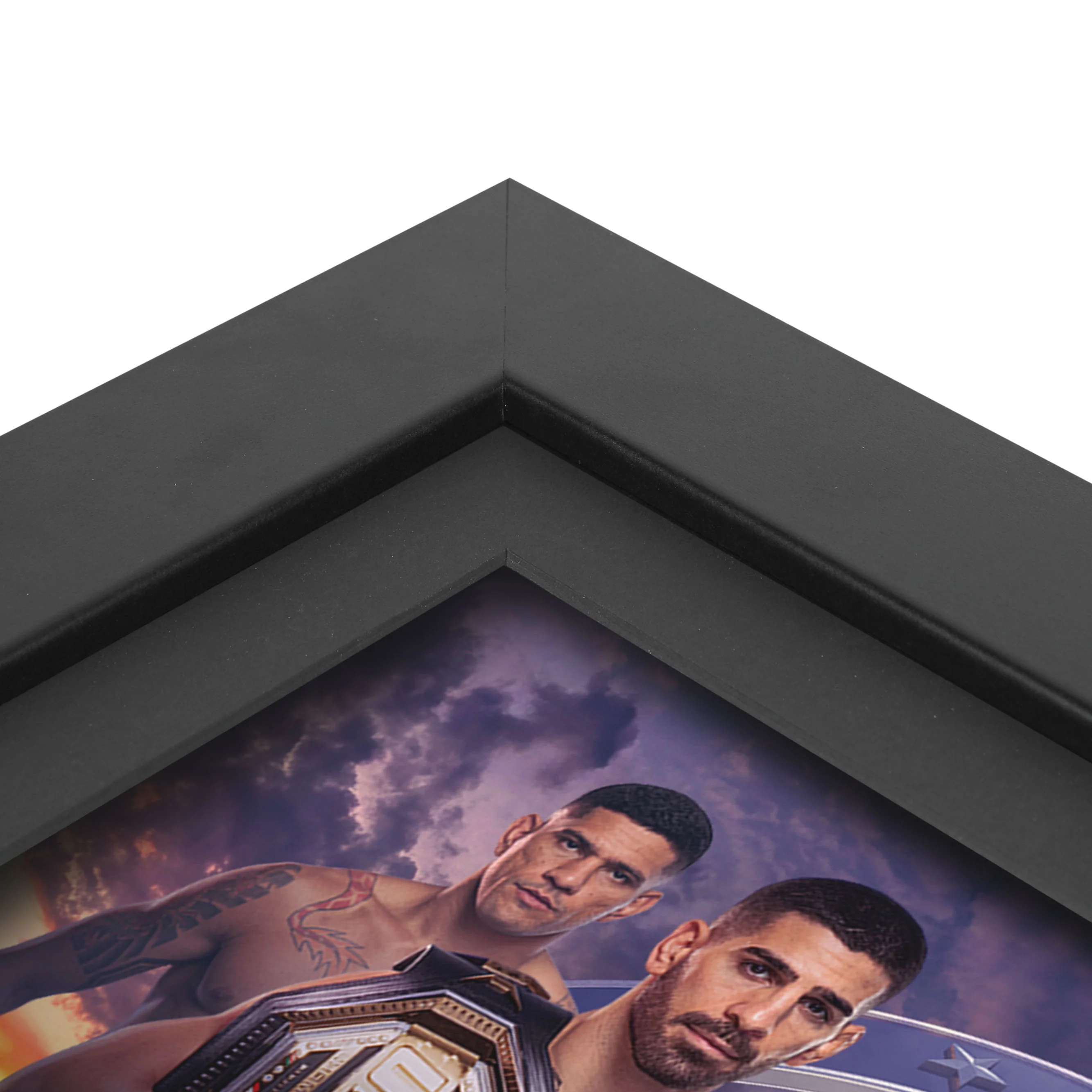 UFC Freedom 250 Canvas & Photo - Image 5