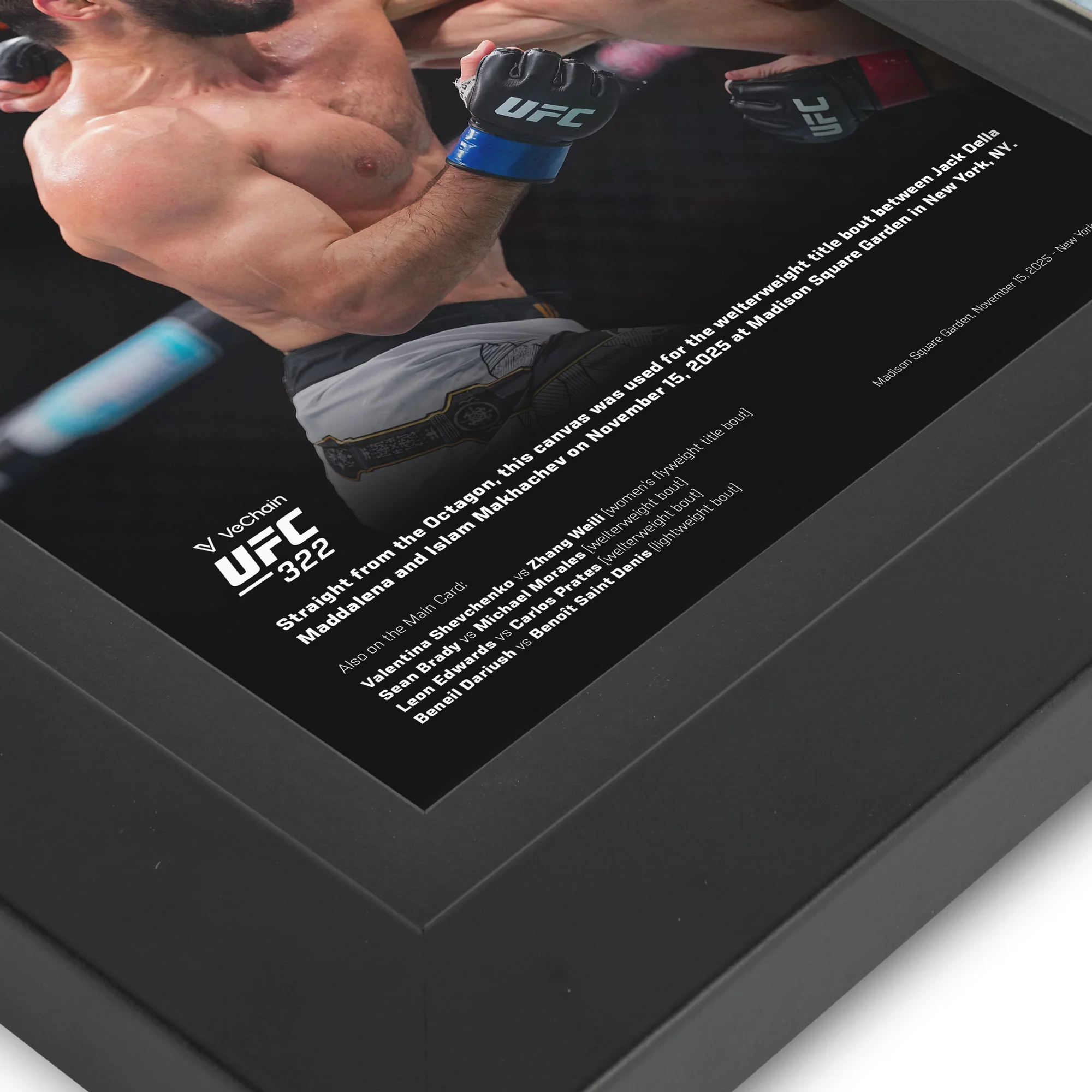 VeChain UFC 322: Della Maddalena vs Makhachev Canvas & Photo - Image 3